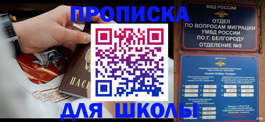 пропишу в квартире в Новом Осколе